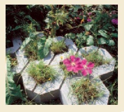 Grass-Stone-Almutatawera 02-interlock